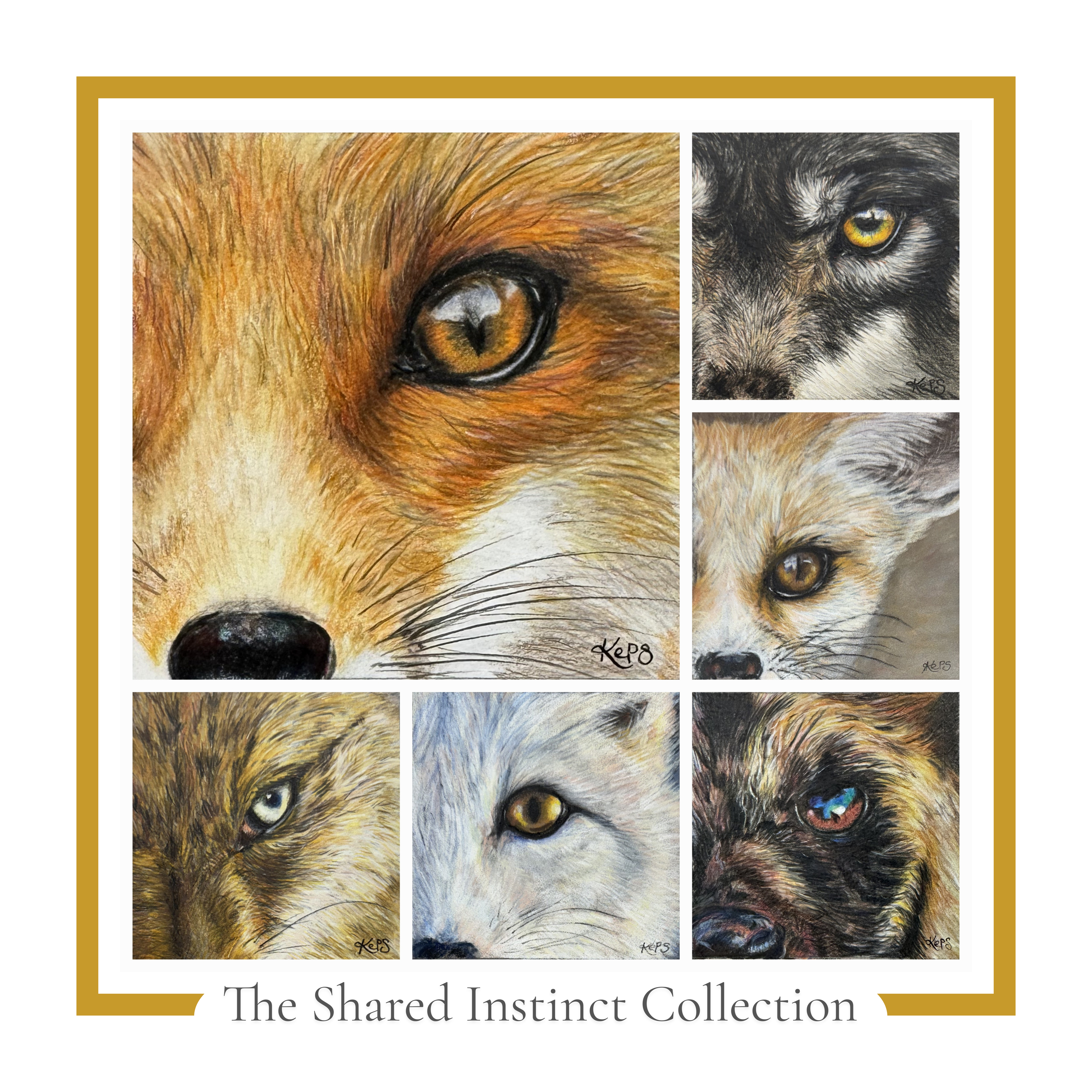 The Shared Instinct