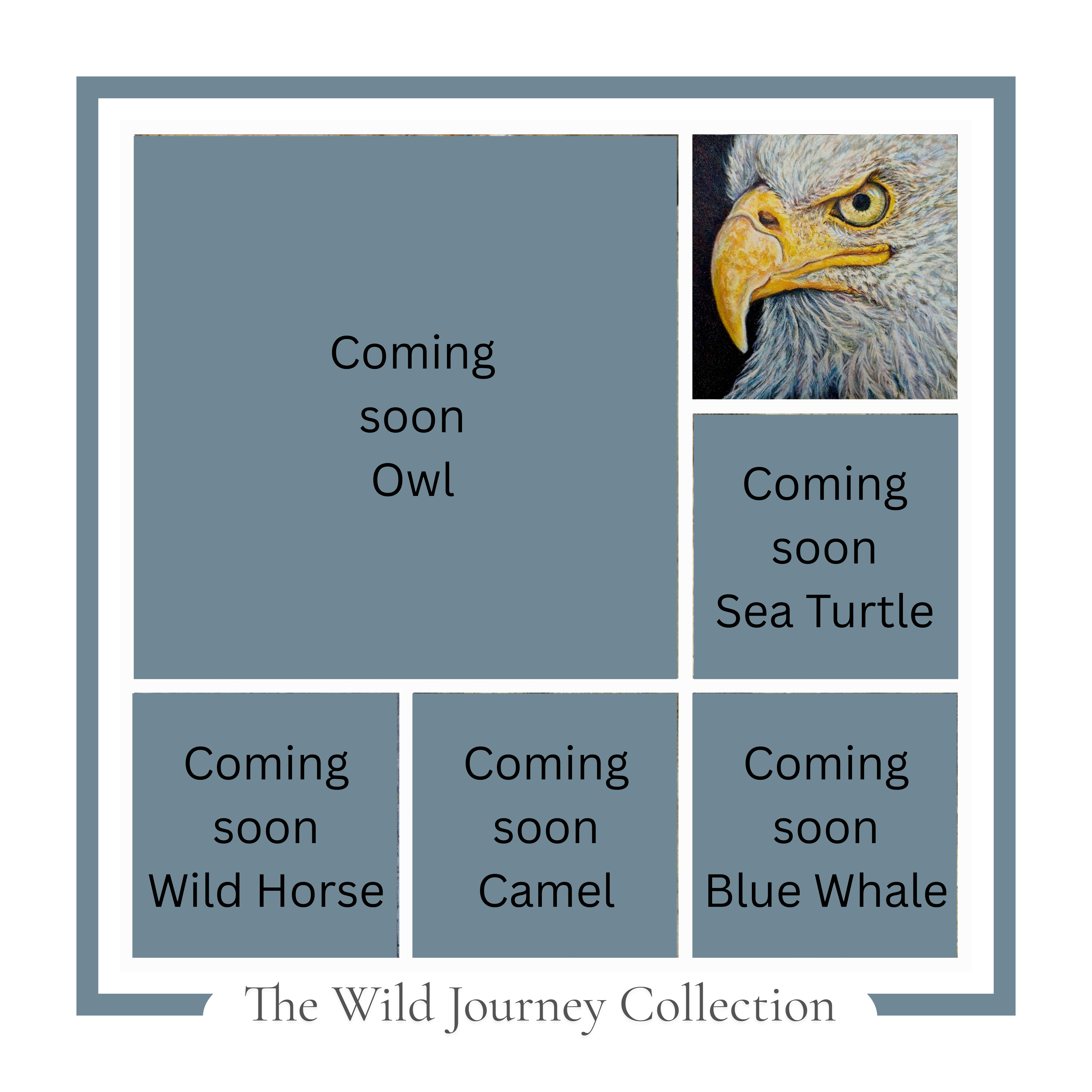 The Wild Journey