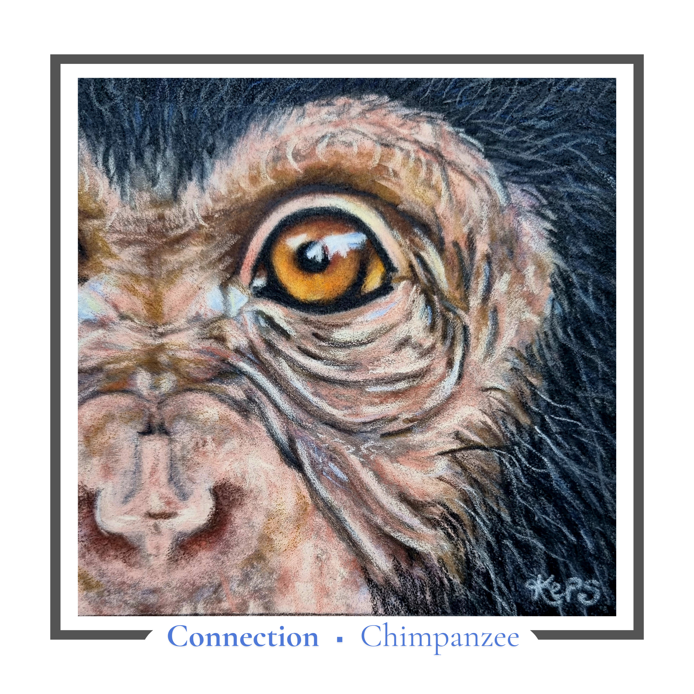 Chimpanzee Greeting card - Connection