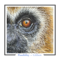 Gibbon Greeting card - Possibility