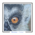 Lemur Greeting card - Alertness