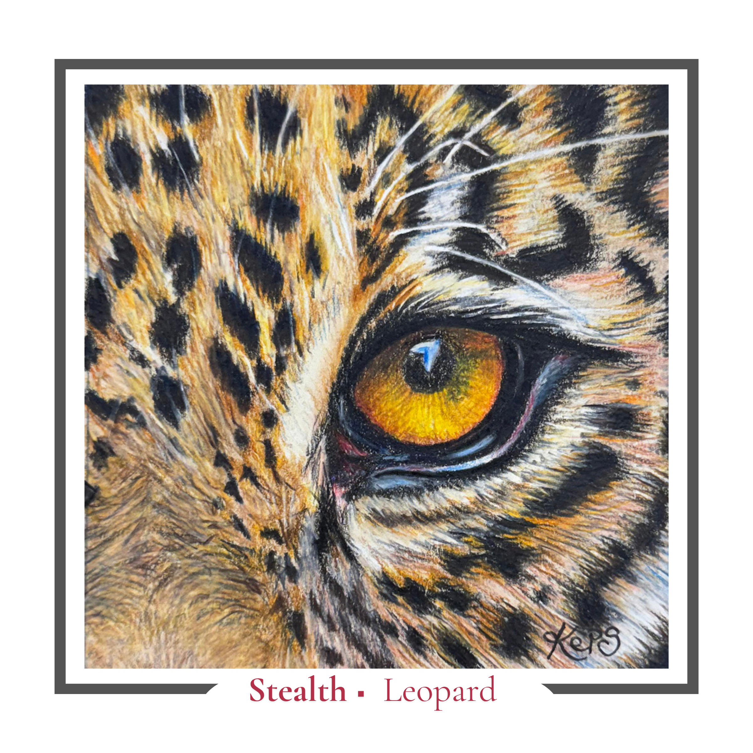 Leopard Greeting card - Stealth