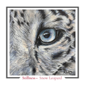 Snow Leopard Greeting card - Stillness