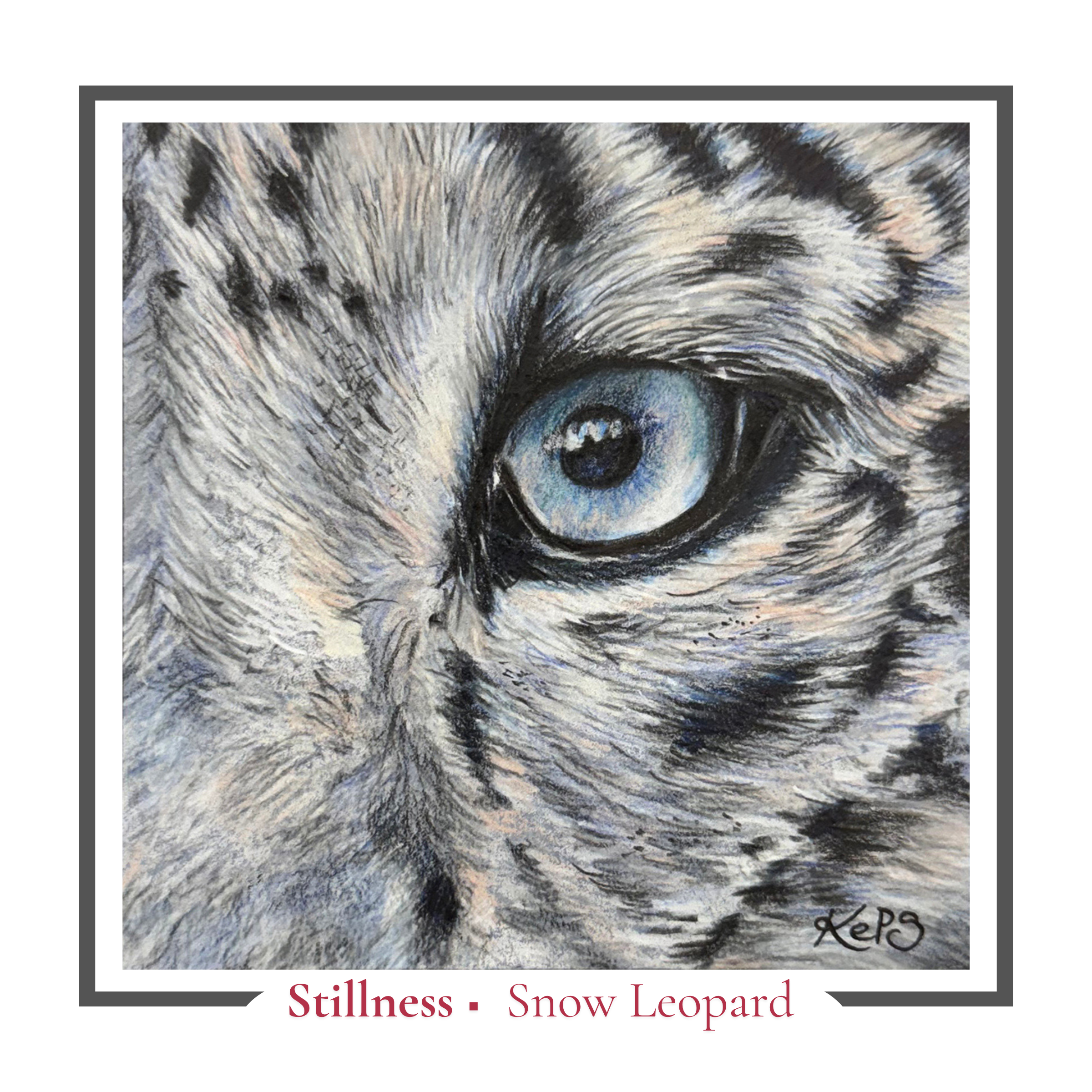 Snow Leopard Greeting card - Stillness