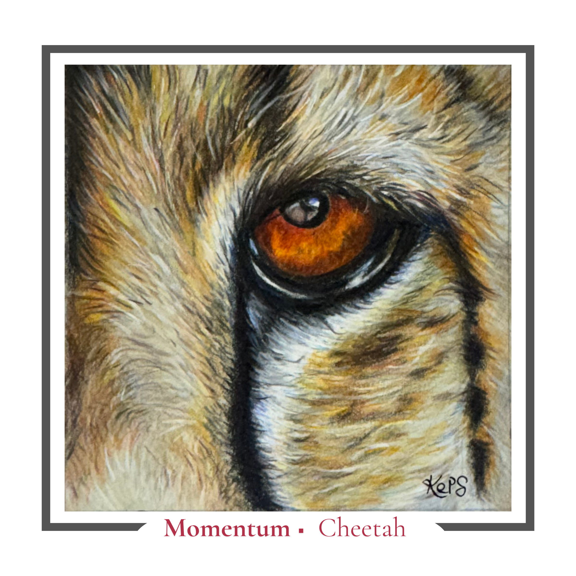 Cheetah Greeting card - Momentum