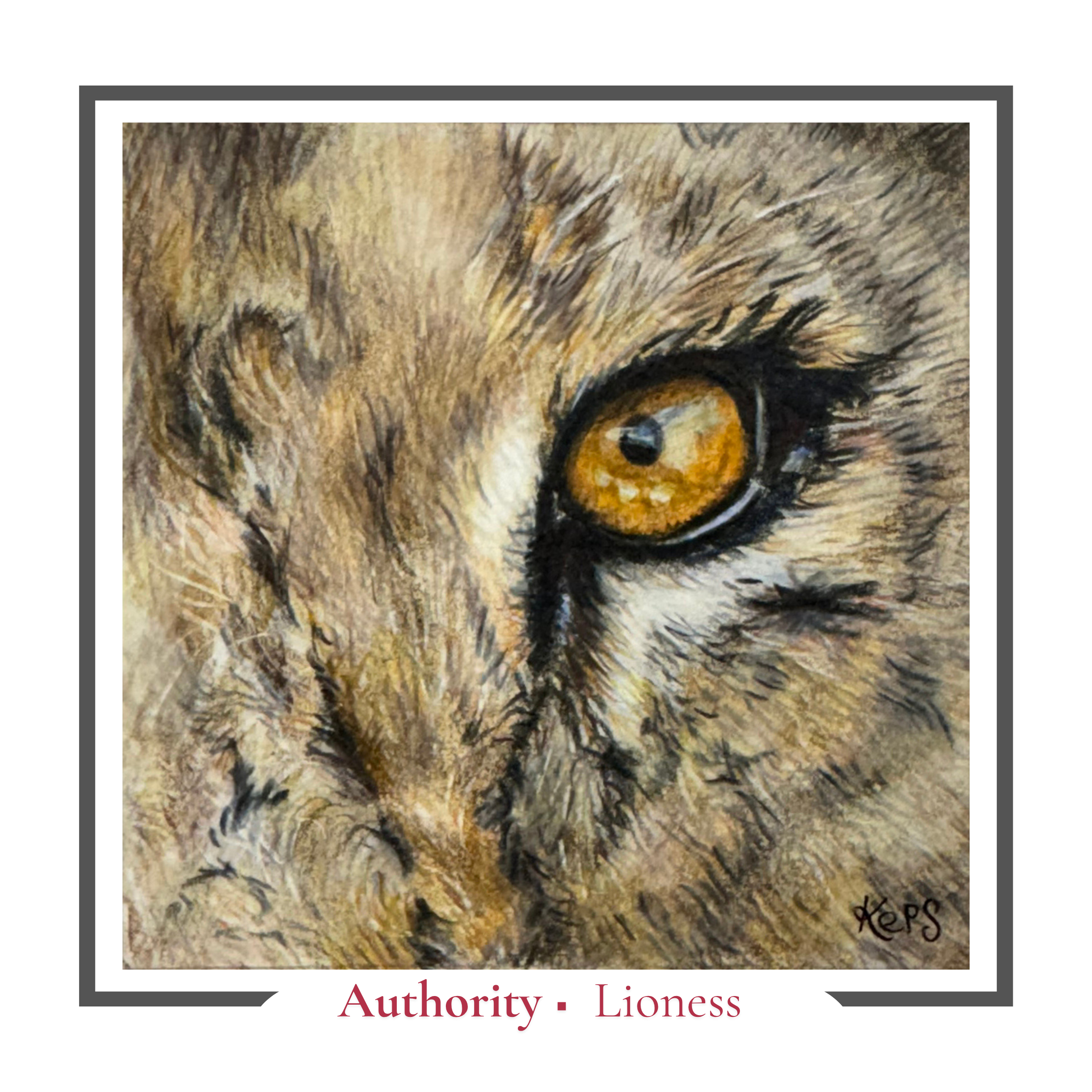 Lioness Greeting card - Authority