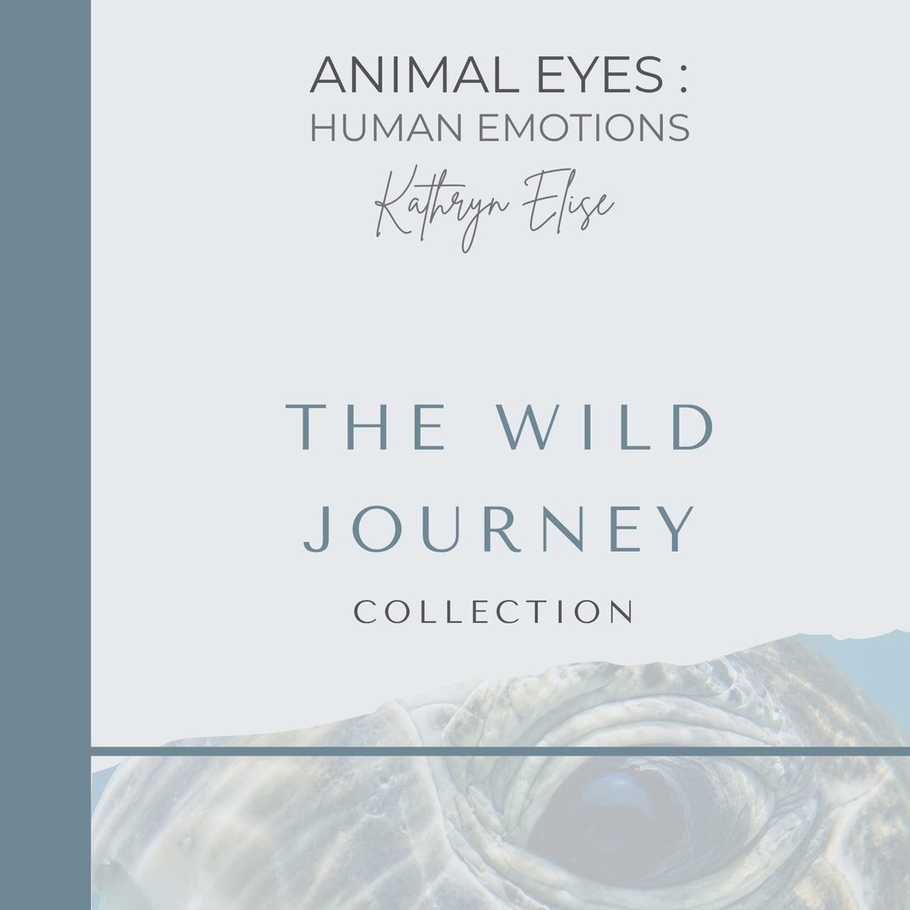 One World Book – The Wild Journey