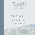 One World Book – The Wild Journey