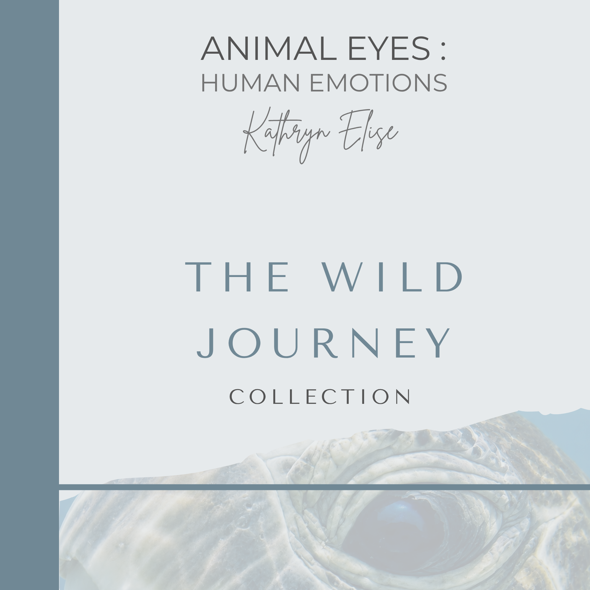 One World Book – The Wild Journey