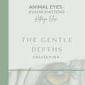 One World Book – The Gentle Depths