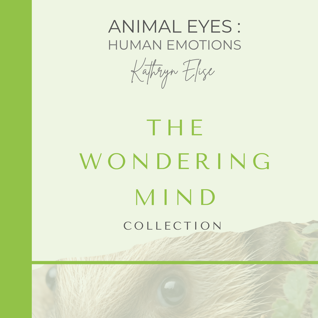 One World Book – The Wondering Mind