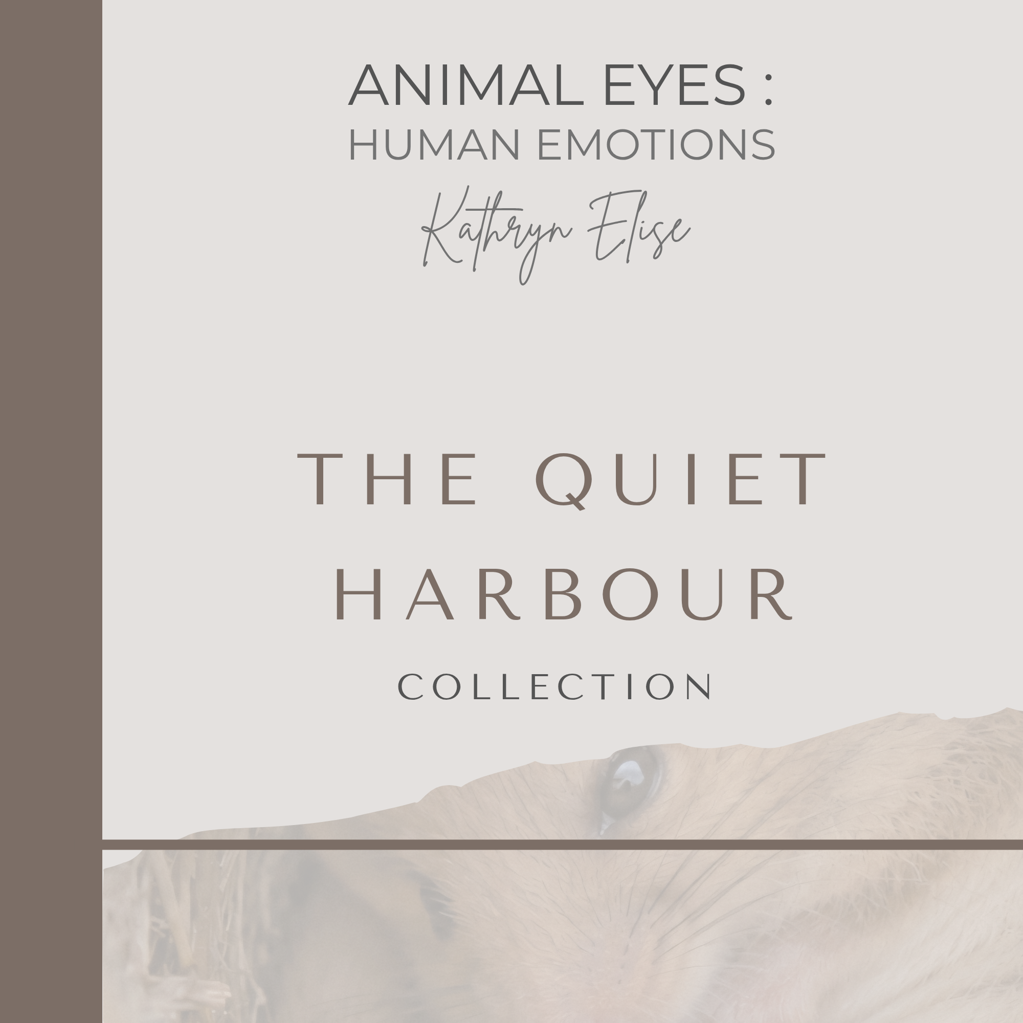 One World Book – The Quiet Harbour