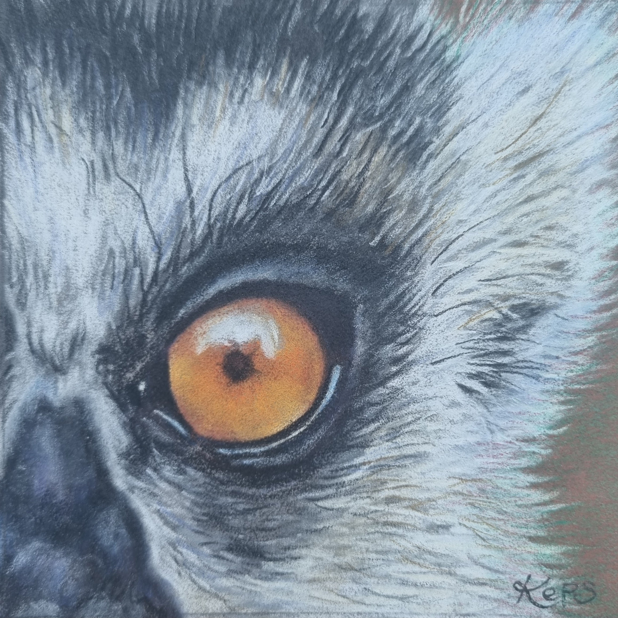 LEMUR - Alertness - Original framed coloured pencil drawing (The Inner World Collection)