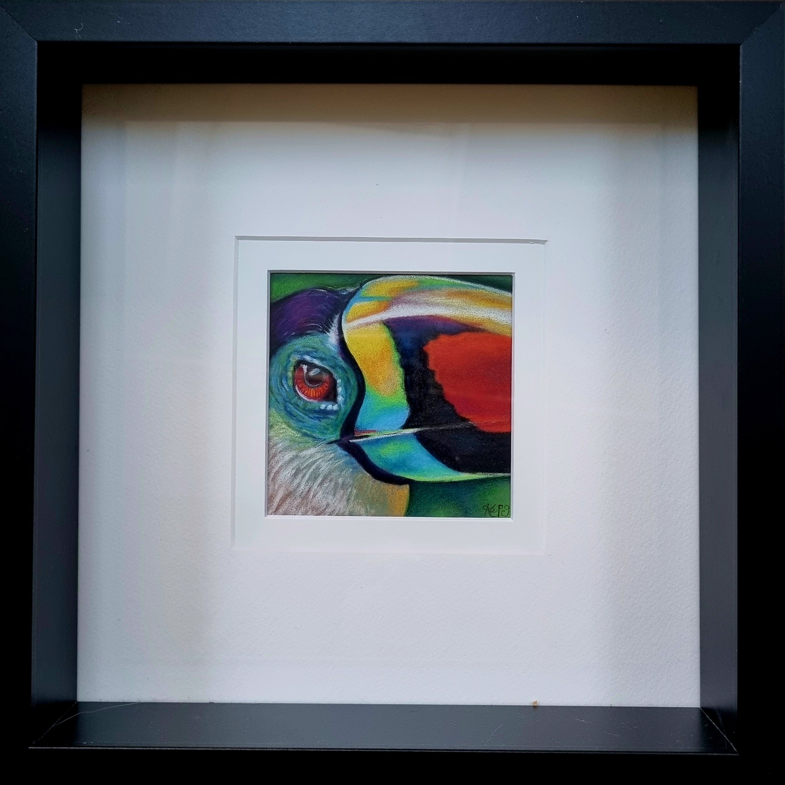 TOUCAN - Joyful     - Original framed coloured pencil drawing      (The Expressive Self Collection)