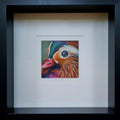 MANDARIN DUCK - Harmony      - Original framed coloured pencil drawing      (The Expressive Self Collection)