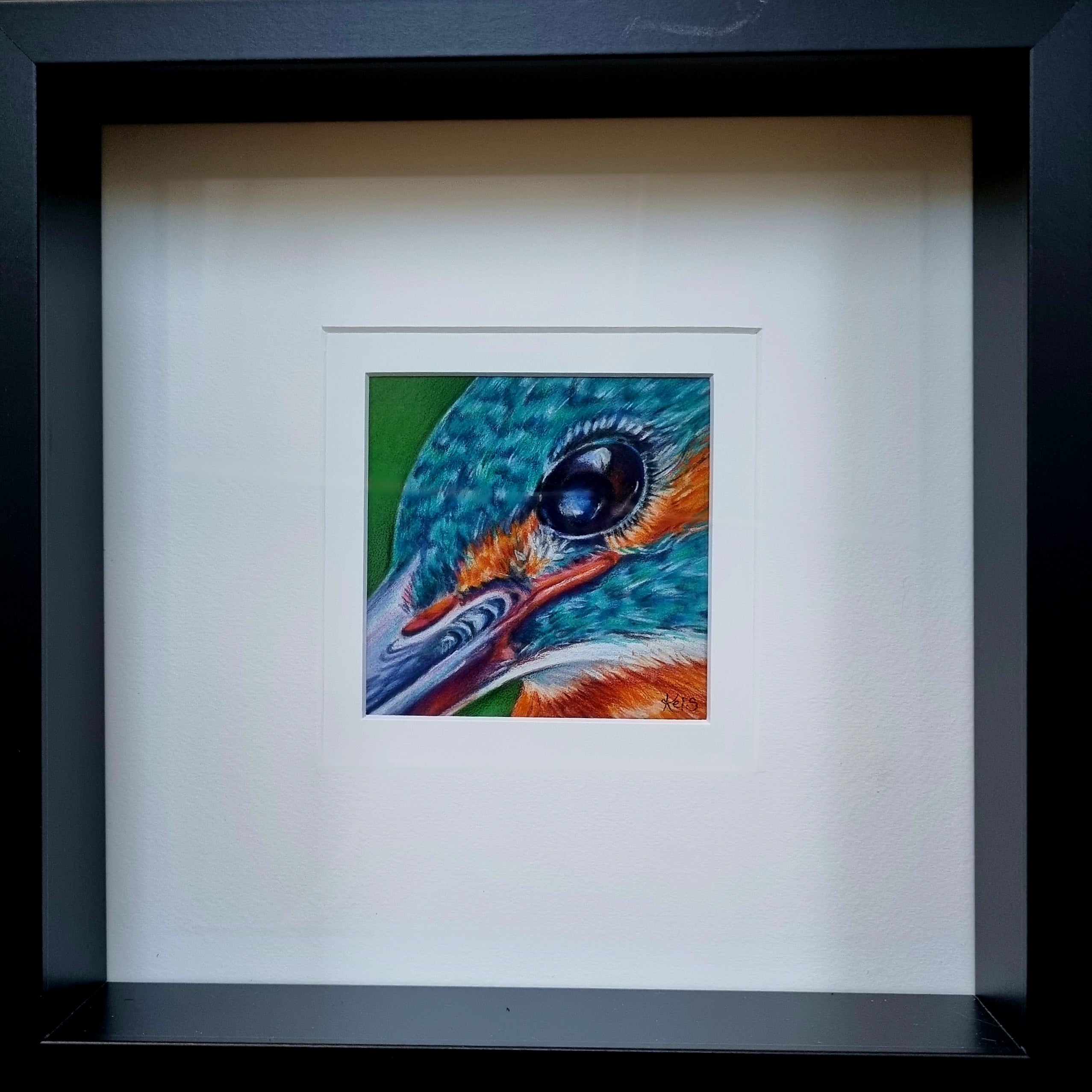 KINGFISHER - Focus     - Original framed coloured pencil drawing      (The Expressive Self Collection)