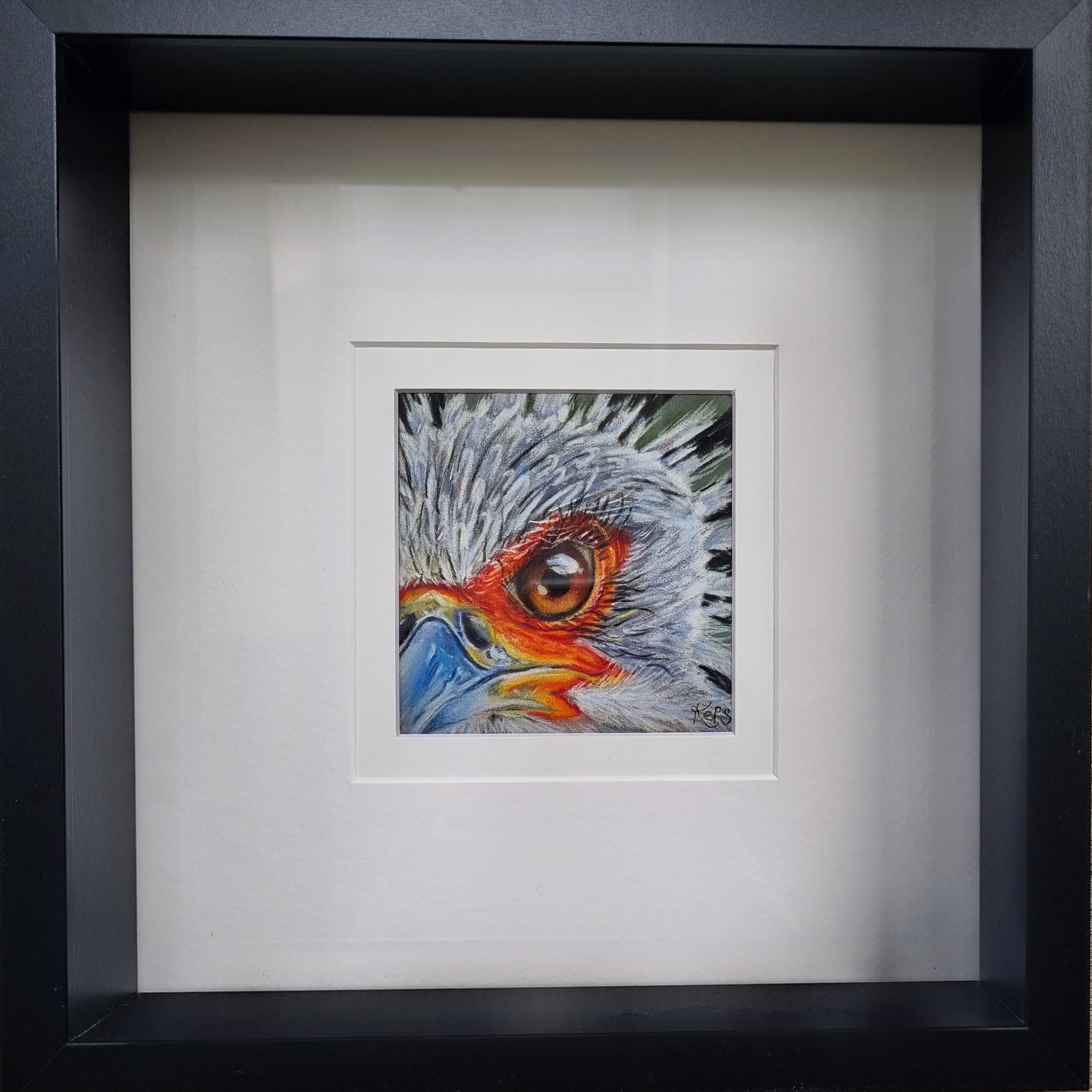 SECRETARY BIRD - Precision  - Original framed coloured pencil drawing