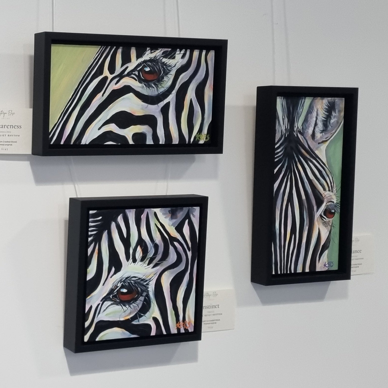 The Quiet Rhythm – Zebra: Instinct
