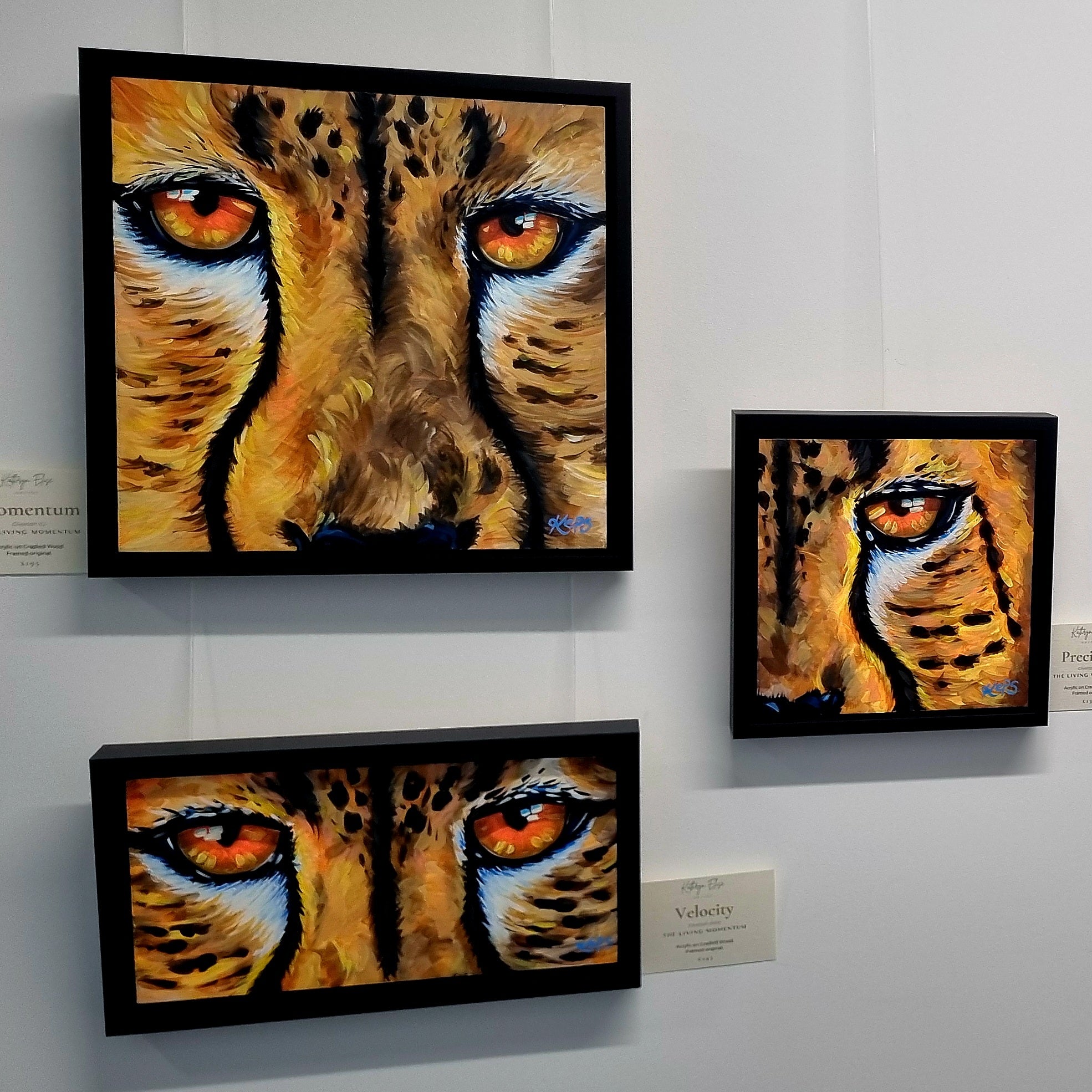 The Living Momentum – Cheetah: Precision