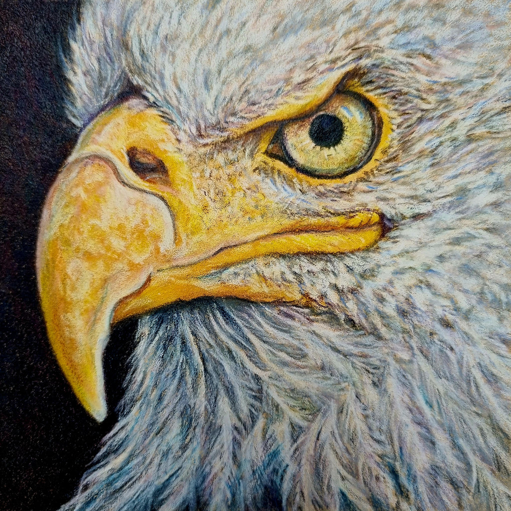 Eagle - Vision - Original framed coloured pencil drawing (The Wild Journey Collection)