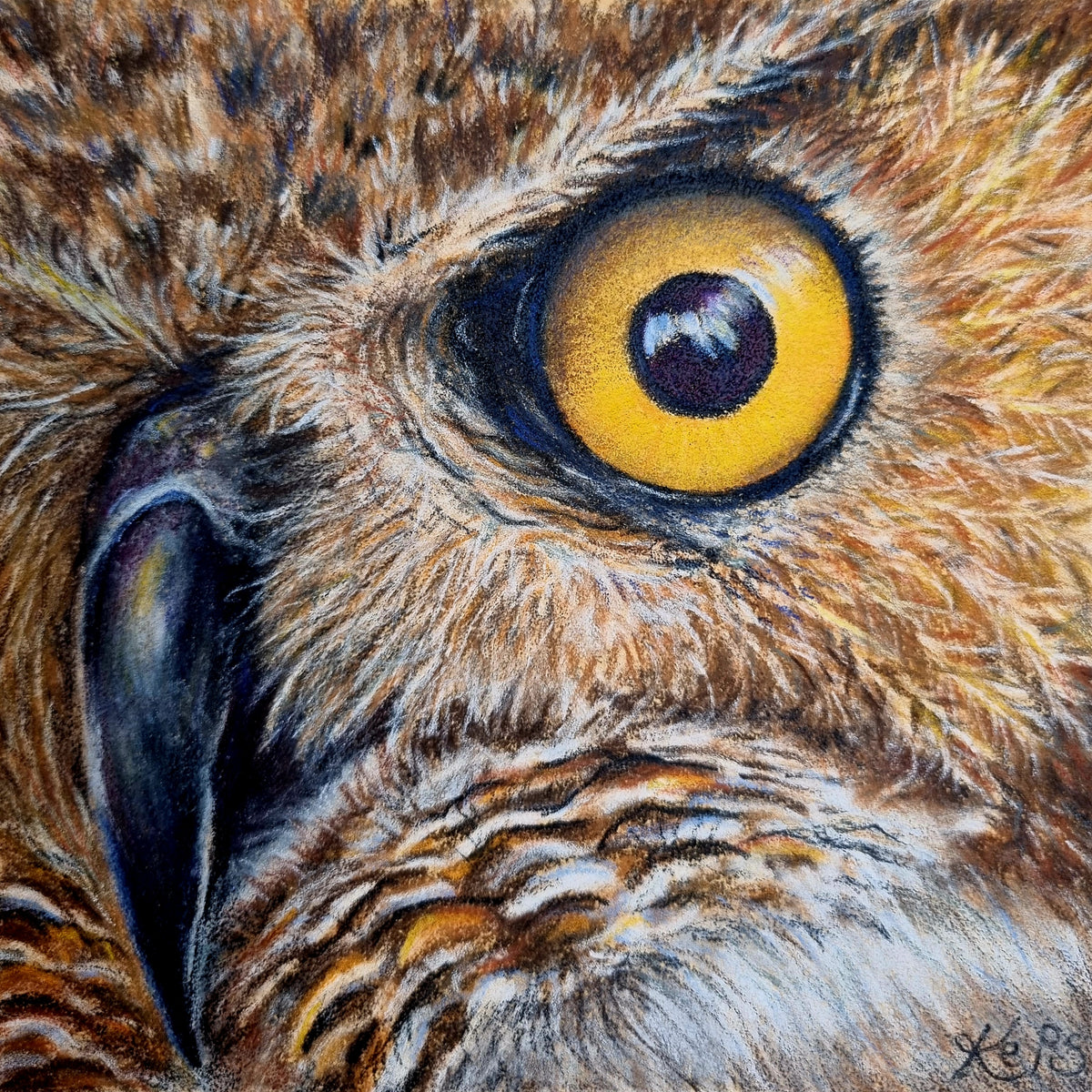 Owl - Insight - Original framed coloured pencil drawing (The Wild Journey Collection)