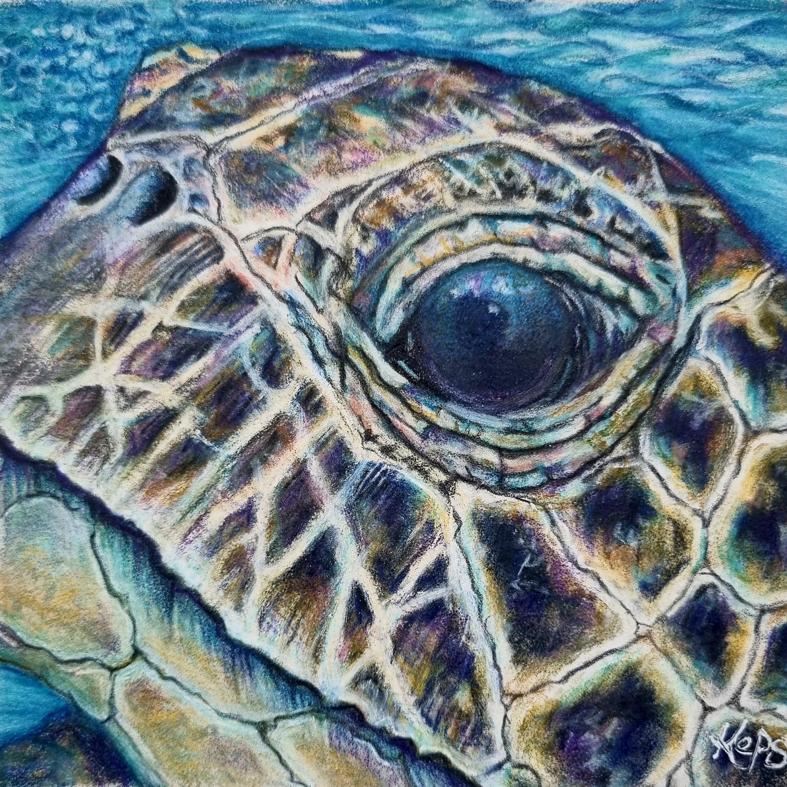 Sea Turtle - Guidance - Original framed coloured pencil drawing (The Wild Journey Collection)