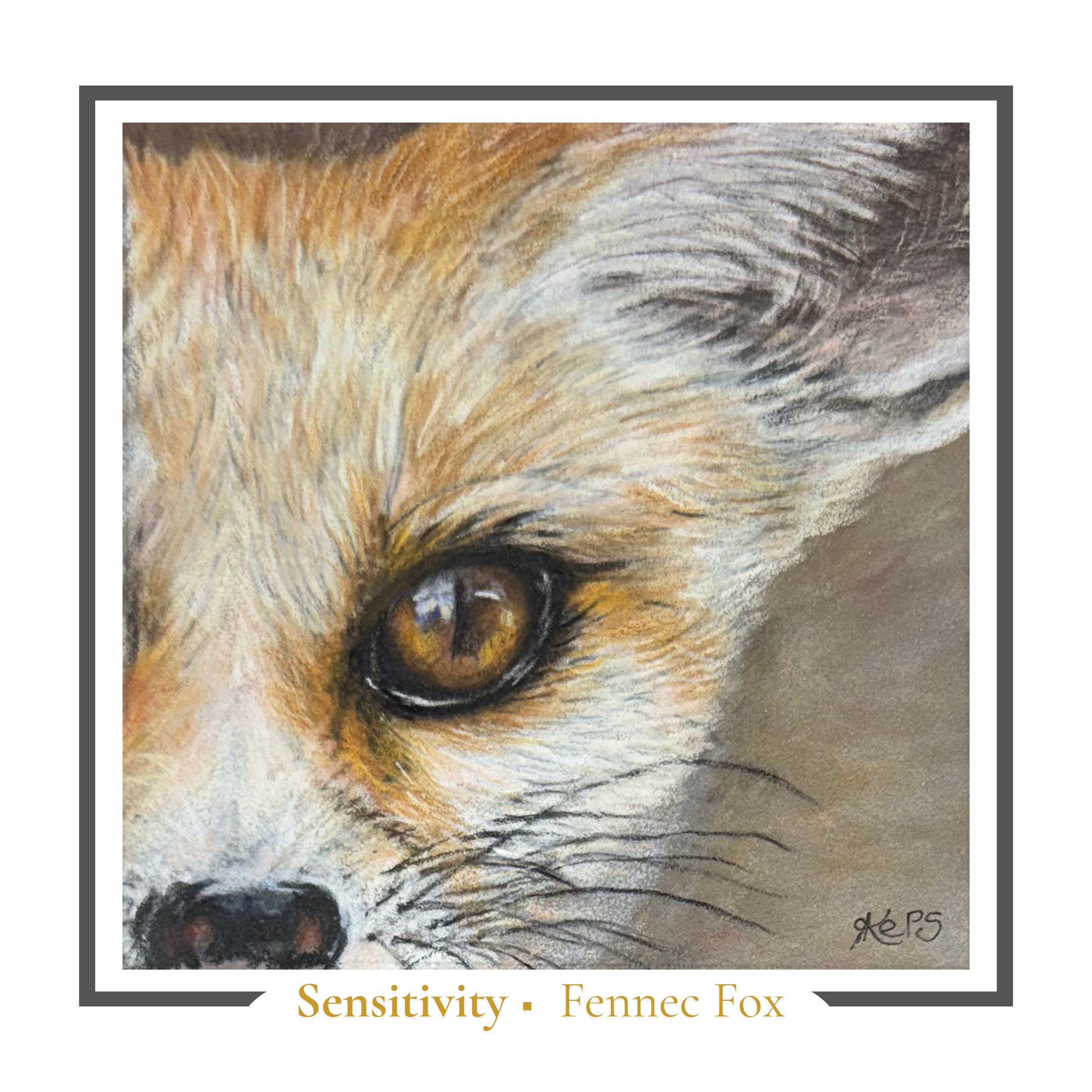 Fennec Fox Greeting card - Sensitivity