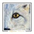 Arctic Fox Greeting card - Adaptation