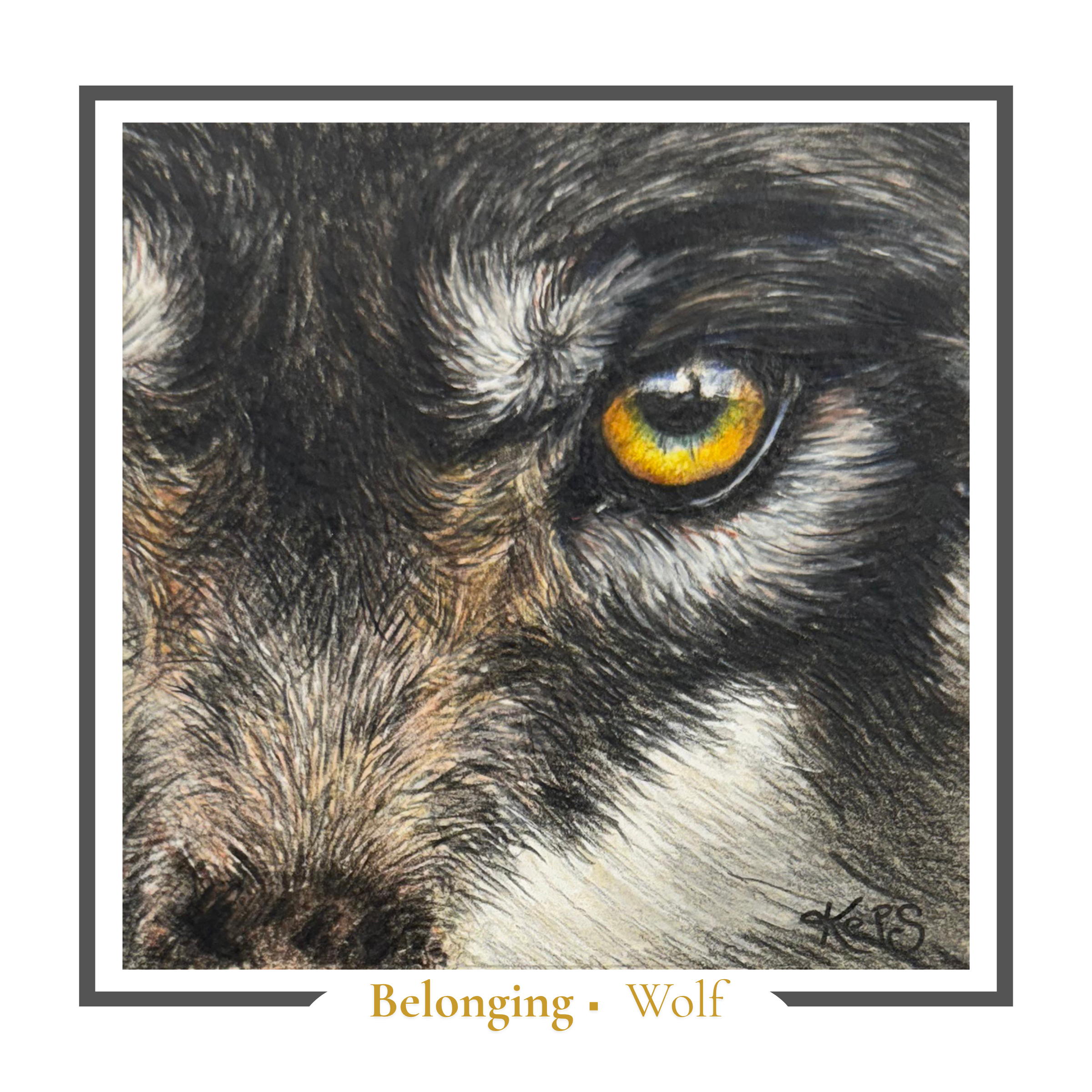 Wolf Greeting card - Belonging