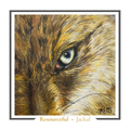 Jackal Greeting card - Resourceful