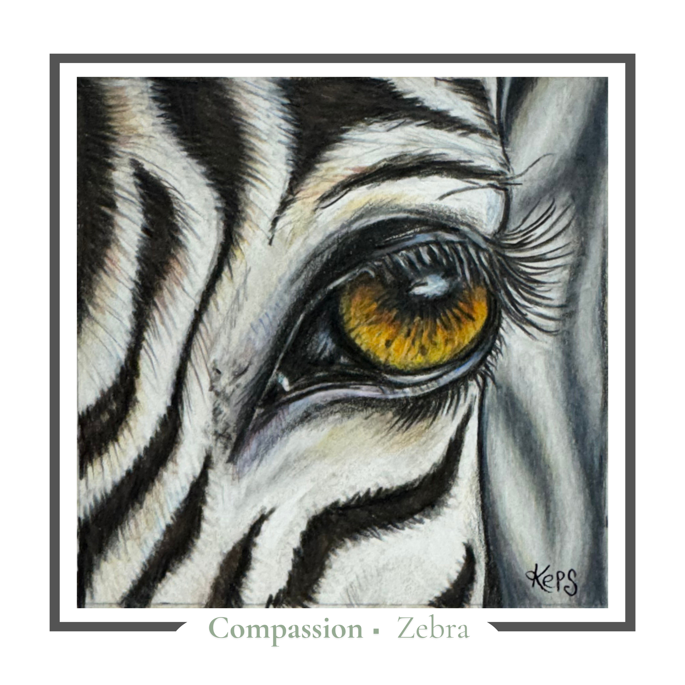 Zebra Greeting card - Compassion