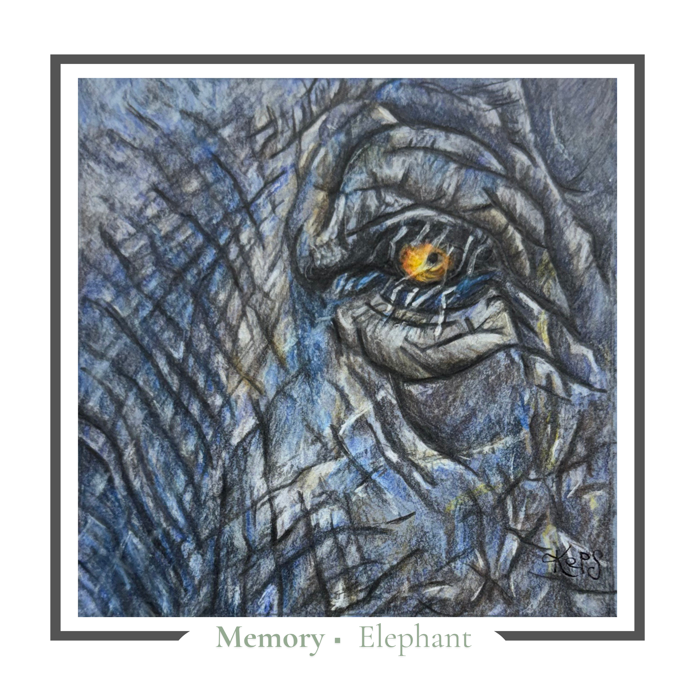 Elephant Greeting card - Memory