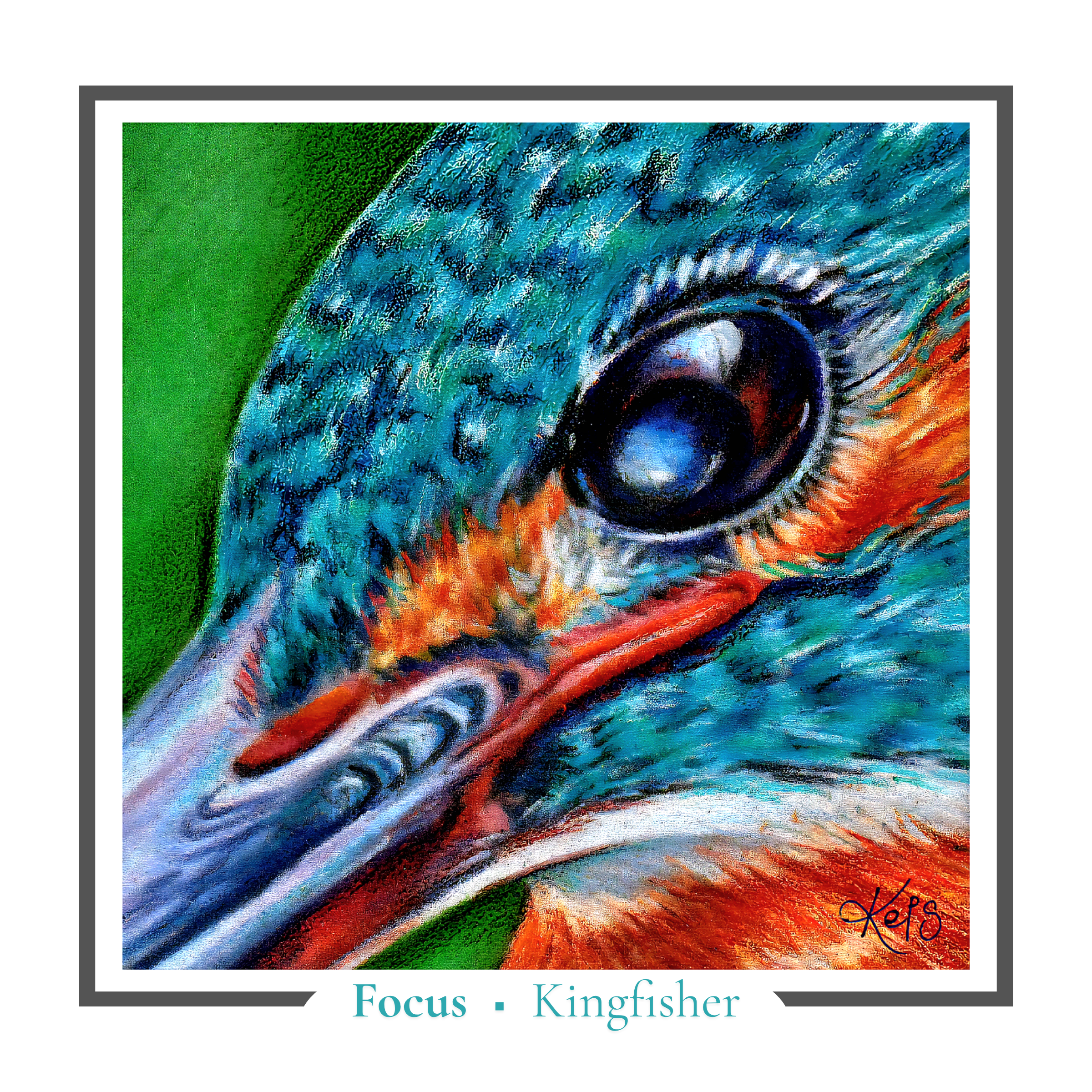 Kingfisher Greeting card - Focus