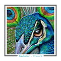 Peacock Greeting card - Radiance