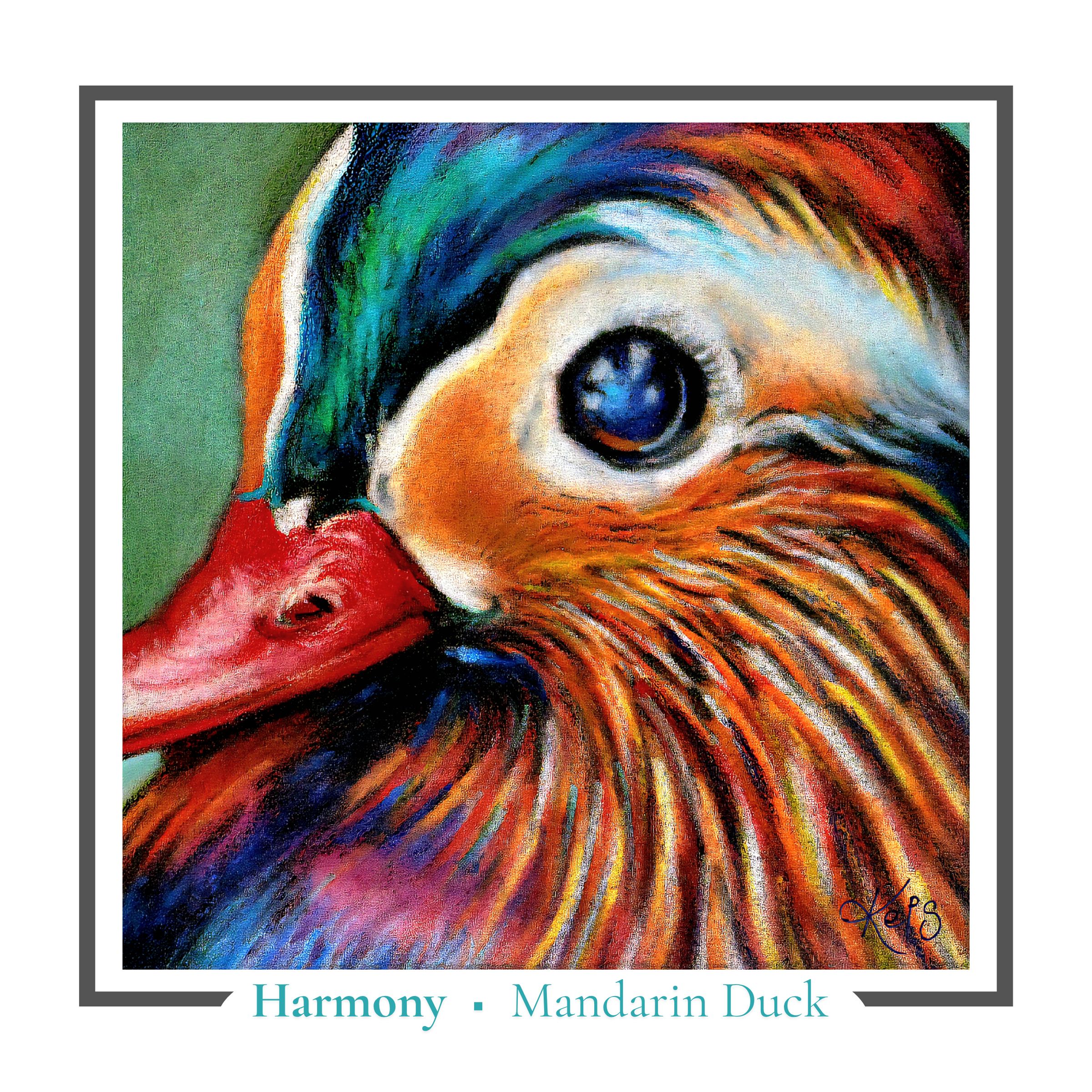 Mandarin Duck Greeting card - Harmony