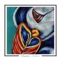 Puffin Greeting card - Charm