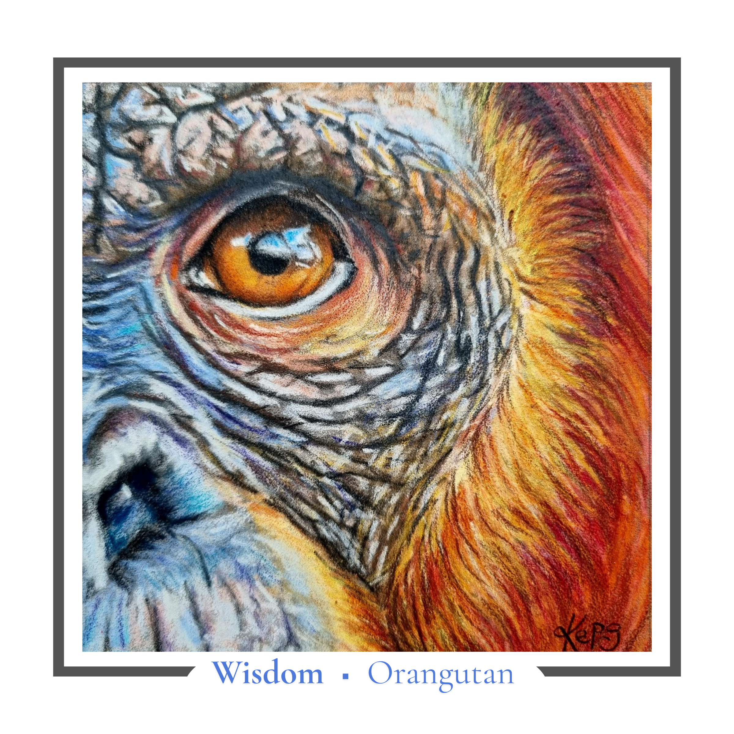 Orangutan Greeting card - Wisdom