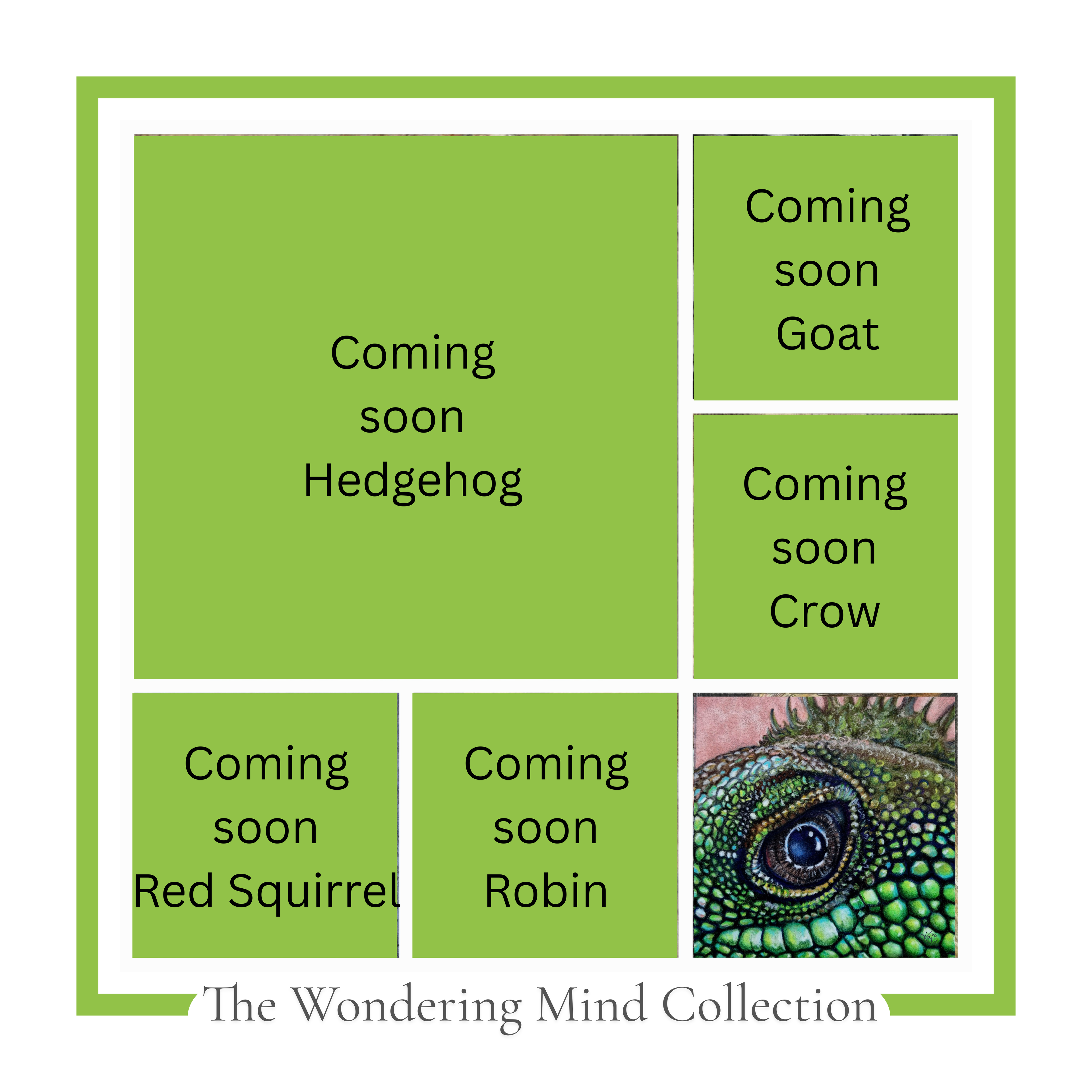 One World Book – The Wondering Mind