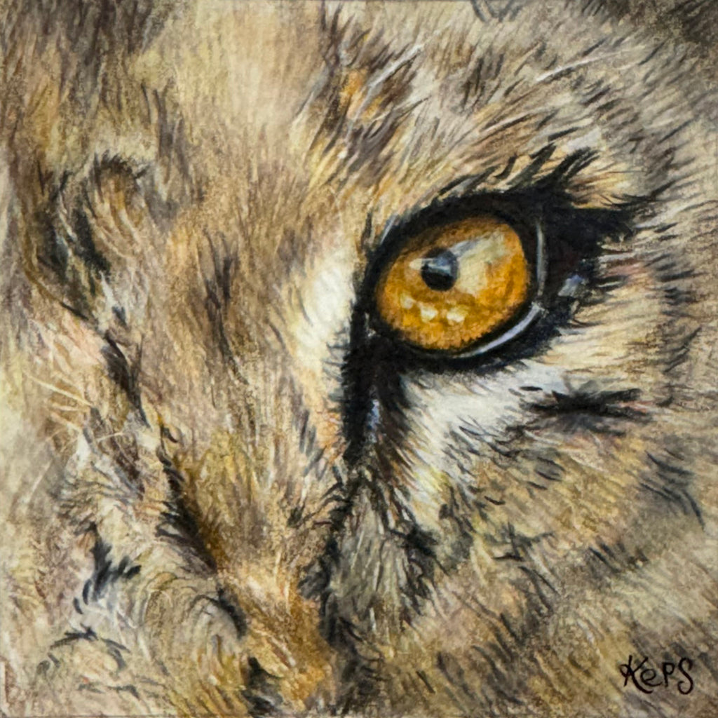 LIONESS - Authority   - Original framed coloured pencil drawing   (The Outer Presence Collection)