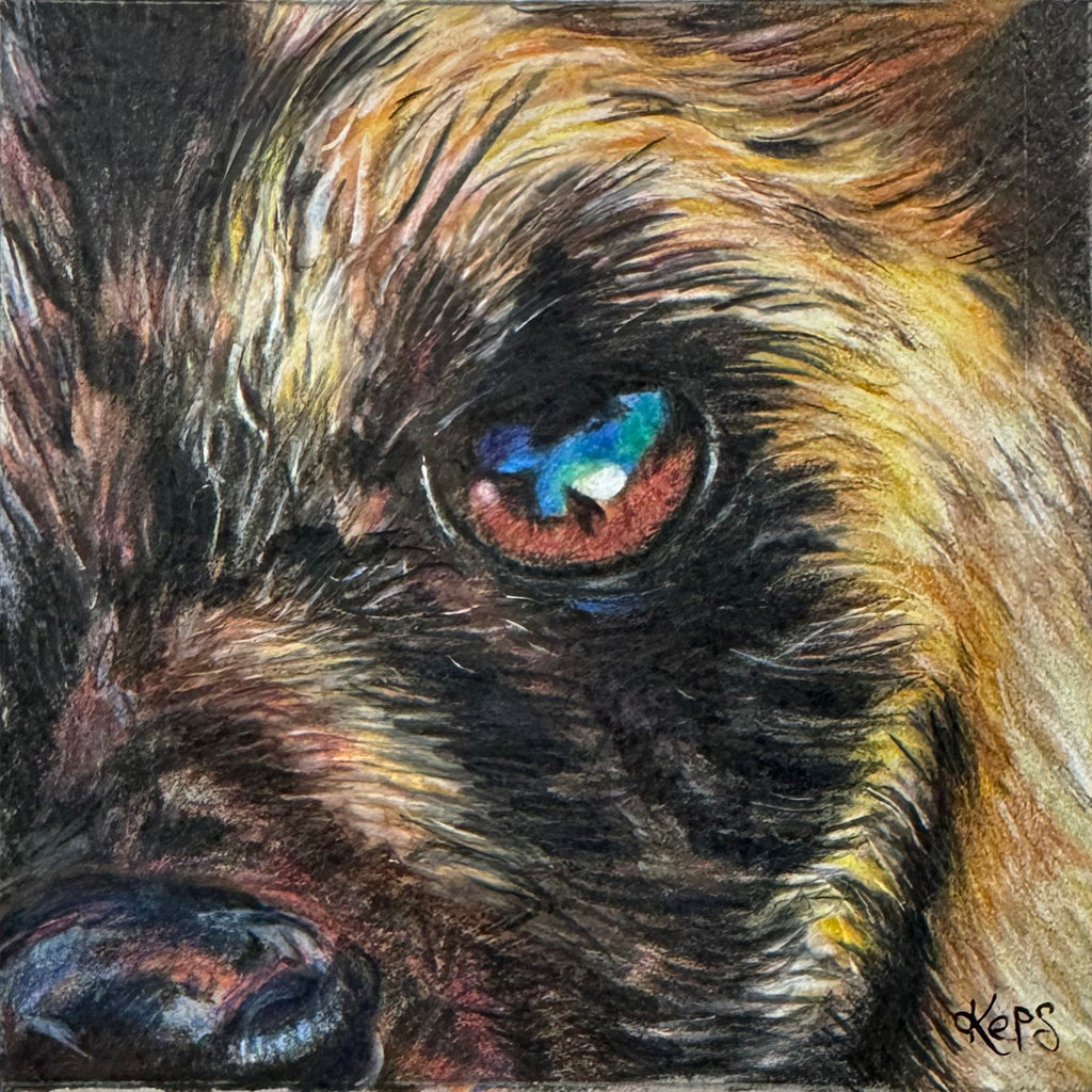 WILD DOG - Unity  - Original framed coloured pencil drawing (The Shared Instinct Collection)
