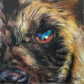 Wild Dog Fine Art Print – Unity