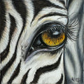 Close-up coloured pencil drawing of a zebra eye representing the quality of compassion.