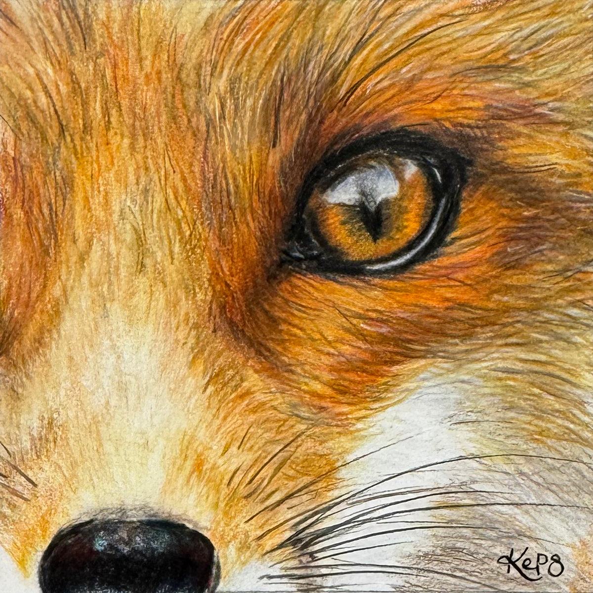 Red Fox Fine Art Print – Intuition