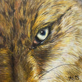 Jackal Fine Art Print – Resourceful
