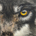 Wolf Fine Art Print – Belonging