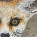 Fennec Fox Fine Art Print – Sensitivity