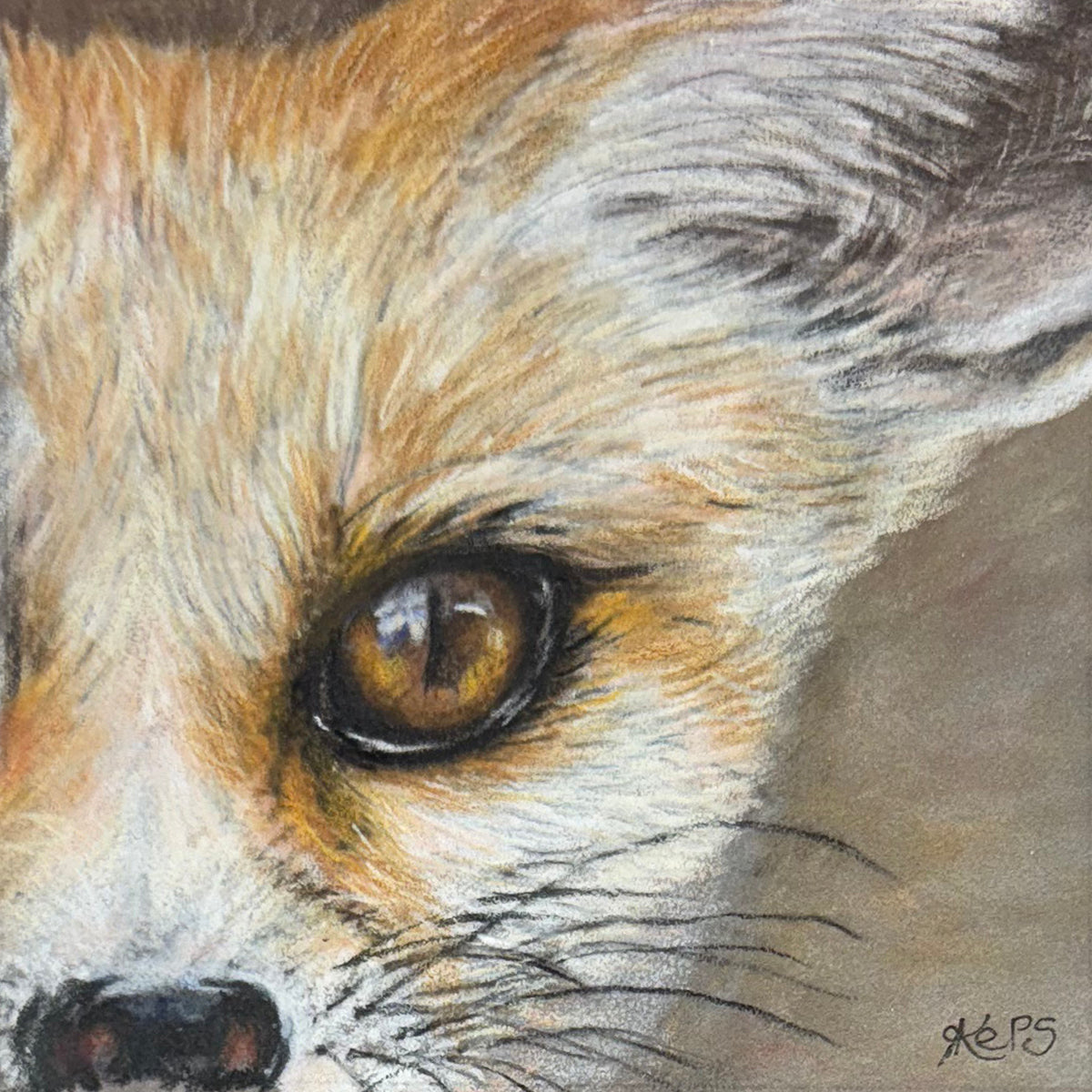Fennec Fox Fine Art Print – Sensitivity