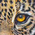 Leopard Fine Art Print – Stealth