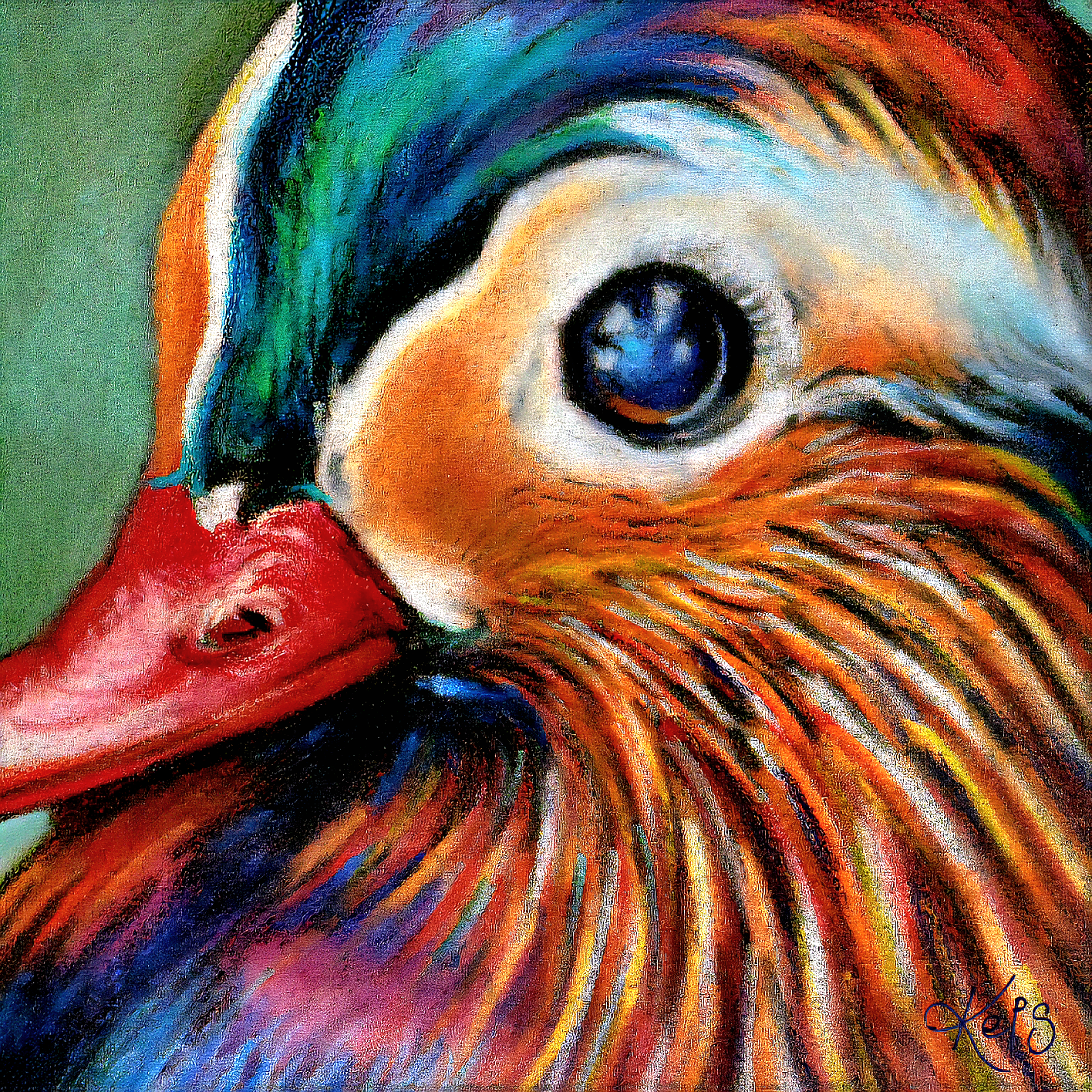 Mandarin Duck Fine Art Print – Harmony