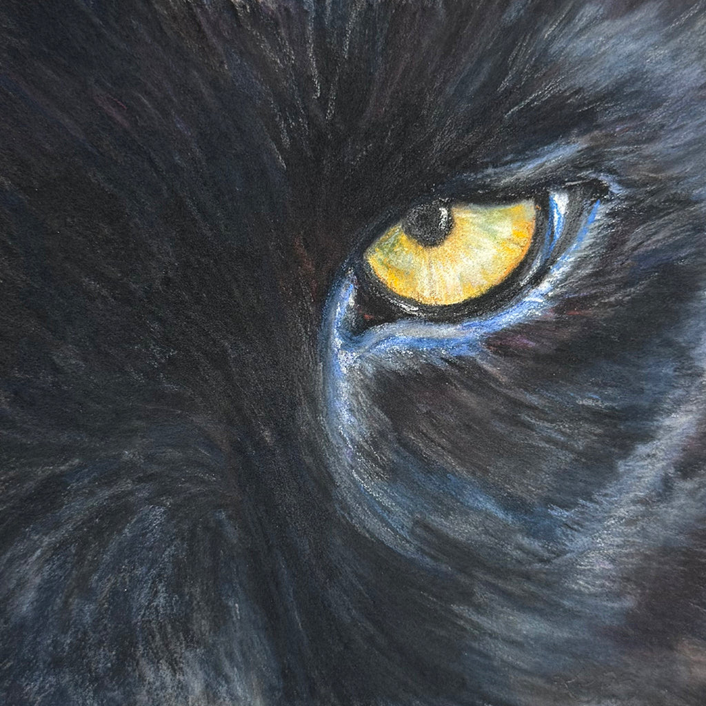 PANTHER - Mystery - Original framed coloured pencil drawing  (The Outer Presence Collection)